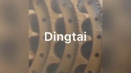 High Quality Fored Segment, D6d, D50, D8n for Excavator and Bulldozer Spare Parts